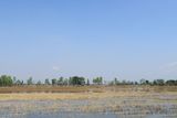 IMG_8743.JPG