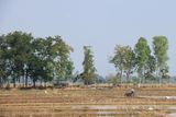 IMG_8744.JPG