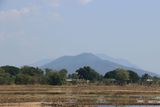 IMG_8745.JPG