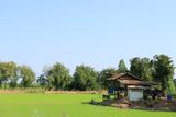 IMG_8779.JPG