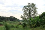 IMG_9038.JPG
