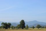IMG_9234.JPG