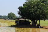 IMG_9265.JPG