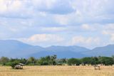 IMG_9551.JPG