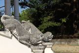IMG_9858.JPG