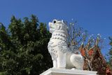 IMG_9915.JPG