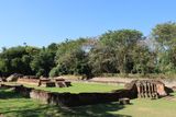 IMG_9974.JPG