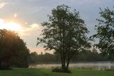 IMG_8566.JPG