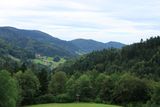 IMG_8687.JPG