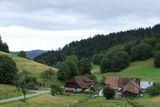 IMG_8689.JPG