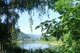 IMG_7232.JPG