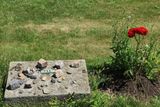 IMG_7262.JPG