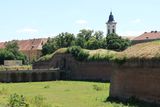 IMG_7285.JPG