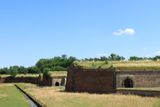 IMG_7293.JPG