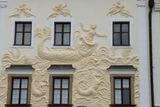 IMG_7559.JPG