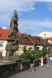 IMG_7993.JPG