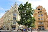 IMG_8056.JPG