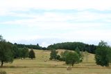 IMG_8146.JPG
