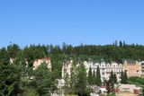 IMG_8303.JPG