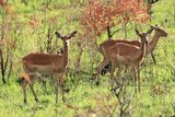 IMG_1845.JPG
