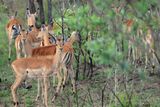 IMG_1867.JPG