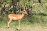 IMG_1969.JPG