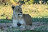IMG_2176.JPG