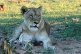 IMG_2186.JPG