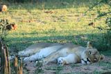 IMG_2189.JPG