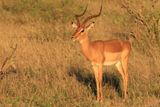 IMG_2203.JPG