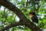 IMG_3017.JPG