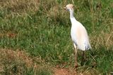 IMG_3069.JPG