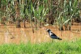 IMG_3175.JPG