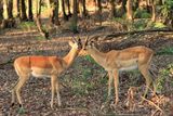 IMG_2480.JPG