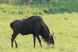 IMG_2536.JPG