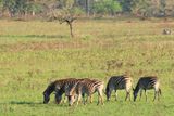 IMG_2545.JPG