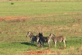 IMG_2547.JPG