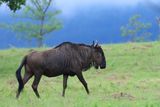 IMG_2648.JPG