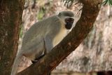 IMG_2663.JPG