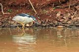 IMG_2664.JPG