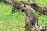 IMG_2727.JPG