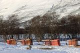IMG_5698.JPG