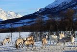 IMG_5716.JPG