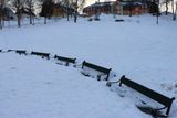 IMG_5786.JPG