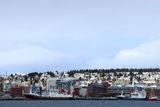 IMG_5806.JPG