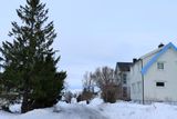IMG_5862.JPG