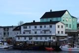 IMG_5890.JPG