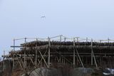 IMG_5915.JPG