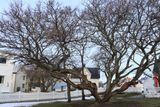 IMG_5916.JPG