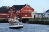 IMG_5925.JPG